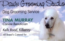 Dog Grooming